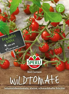 Produktbild von Wildtomate (Johannisbeertomate) ''Red Currant''