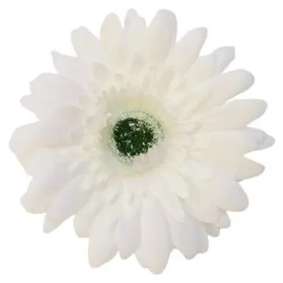 Produktbild von Domosfera Künstliche Gerbera Blumenköpfe Weiß 6 Stück