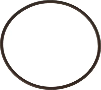 Immagine prodotto di O-ring per tappo di tenuta CNC M500/M700 motore, 44x1.5