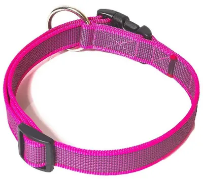 Produktbild von Julius K-9 Hundehalsband Rosa 27-42 cm Rosa 27-42 cm