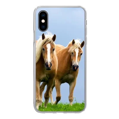 Produktbild von MuchoWow® Handyhülle Schutzhülle Hülle für iPhone X Pferde - Gras - Luft Silikon Softcase Handy Hülle - Handyhülle