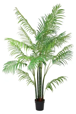 Produktbild von Trendyplants - Kunst Kentia Palme - Kentia Palme - Kunstpflanze - Höhe 170cm - Topfgröße Ø20cm