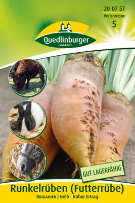 Produktbild von Futterrübe Brigadier gelb (20 g) | Möhrensamen von Quedlinburger