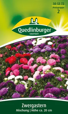 Produktbild von Zwergaster Mischung | Asternsamen von Quedlinburger