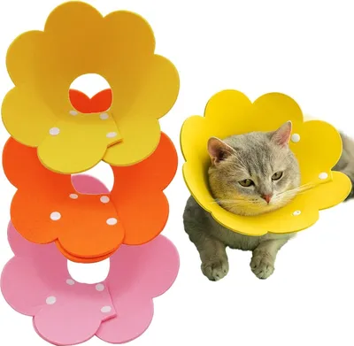 Produktbild von 3PCS Katze Schutzkragen, Soft Weich Halskrause Katzen Halsband, Anti Biss Safety Einstellbarer, Bequemes E-Kragen, für Katzen Kleiner Hunde Nach Operation und Verletzungen