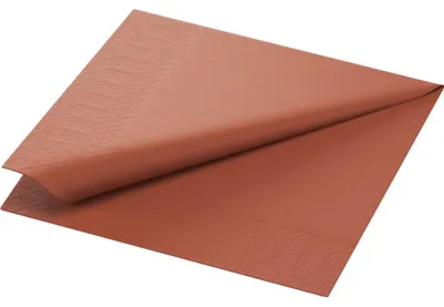 Obrázek produktu pro Duni Servietten Earth Terra 33x33cm 250 Stück 1er Pack