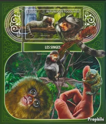 Produktbild von Briefmarken Togo 2017 Mi Block 1479 (kompl. Ausgabe) postfrisch Affen
