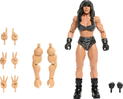 Immagine prodotto di WWE JHX82, 8 anni, Multicolore, Plastica