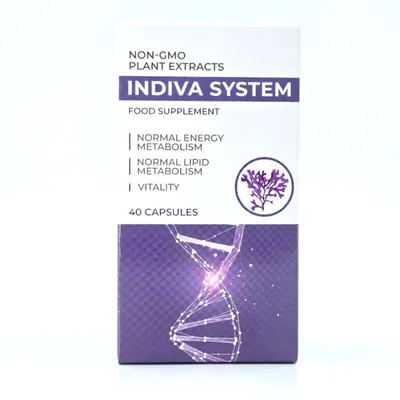 Produktbild von Indiva System 40 Kapseln