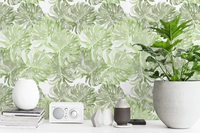 Produktbild von Coloray Fototapete 152x104 cm Vlies-Fototapete - Monstera Blatt Blumenblatt
