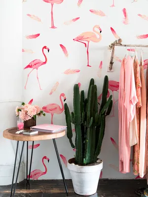 Produktbild von Coloray Fototapete 104x70 cm Vlies-Fototapete - Flamingo