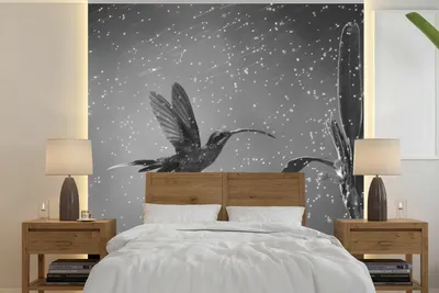 Produktbild von MuchoWow® Fototapete für Wohnzimmer oder Schlafzimmer Wandtapete Vinyl Motivtapete Kolibri im Regen in der Natur von Costa Rica in schwarz und weiß - 260x260 cm - Papiertapeten