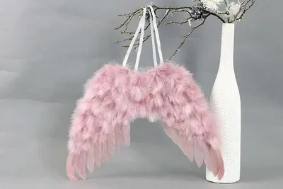 Obrázek produktu pro Autronic Andělská křídla z peří AK6111-PINK