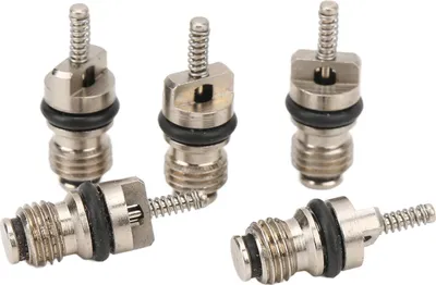 Image de 20 pièces de noyau de valve de climatisation automobile en cuivre, remplacement haute pression pour HYUNDAI KIA