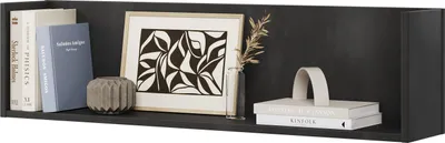 Produktbild von MINIO Hängeschrank 102 cm FELIX 13 Wandregal | Rohstahl Farbe