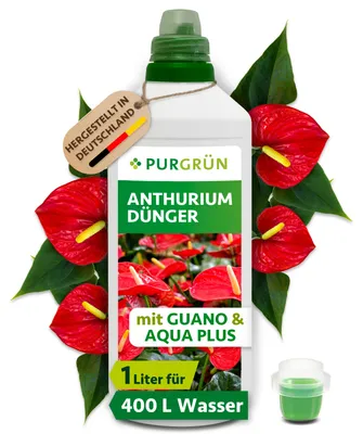 Produktbild von Purgrün Anthurium-Dünger | Flüssigdünger für Blüten & Wachstum | 1L