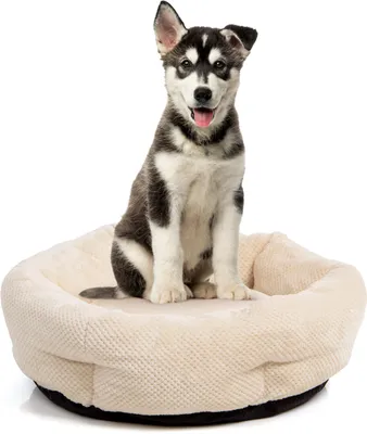 Produktbild von Hundebett Cloey · Hundekörbchen · beige · M · ca. 60 x 60 x 20 cm