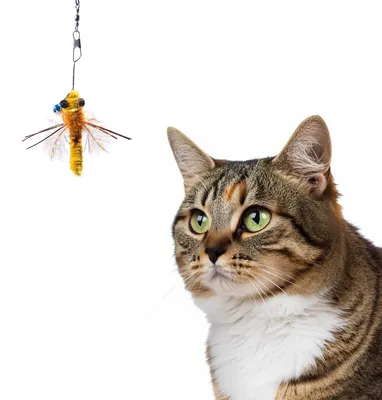 Produktbild von Spielanhänger für Katzenangel · kleine Libelle Katzenspielzeug · ca. 5,5 x 1 x 1 cm · gelb
