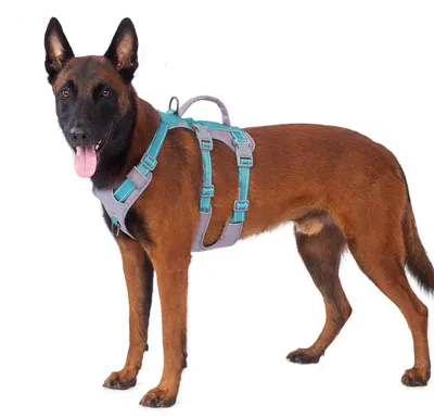 Imagen del producto de Arnés para perros: Antiladridos con asa, transpirable y ajustable, color azul, talla XL