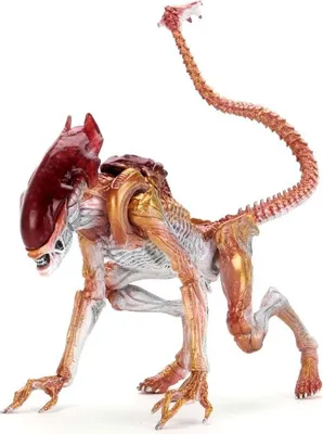 Immagine prodotto di NECA Aliens Action Figure Panther Alien (Tributo Kenner) 23 cm NECA51715