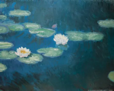 Obrázok produktu pre Claude Monet art print obrázok - Vodné ľalie, Nymphéas, 1898 (40 x 50 cm)