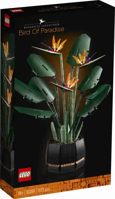 Zdjęcie produktu dla LEGO Botanicals Strelicja królewska, Zestaw do budowania, 18 lat(a), Plastik, 1173 szt., 1,34 kg