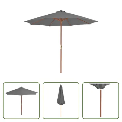 Image de The Living Store Parasol avec mât en bois 300 cm Anthracite