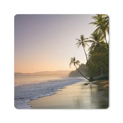 Produktbild von MuchoWow® Mauspad Mousepad Strand - Meer - Palme 30x30 cm - Mousepads - Maus Mat - Pad - Mausunterlage - Gaming