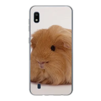 Produktbild von MuchoWow® Handyhülle Schutzhülle Hülle für Samsung Galaxy A10 Sheltie-Meerschweinchen Silikon Softcase Handy Hülle - Schutzhülle