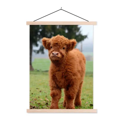 Produktbild von MuchoWow® Textilposter Scottish Highlander - Kalb - Gras 120x160 cm mit holzfarbenen Rahmen - Plakatkarton