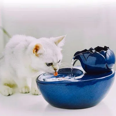 Immagine prodotto di Fontana da interno in Vetroceramica - 16,7 x 20,6 x 13,8 cm - Blu