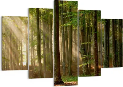 Produktbild von Bild auf Leinwand - Leinwandbild - Wald Baum Natur - 150x100cm - Wand Bild - Wanddeko - Wandbilder - Leinwanddruck - Bilder - Kunstdruck - Wanddekoration - Leinwand bilder - Wandkunst - EA150x100-3628
