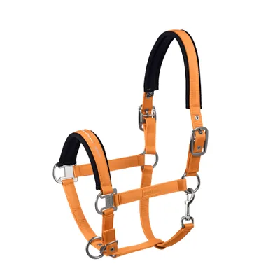 Produktbild von Eskadron Halfter Double Pin GLOSSY " Classic Sports " Farbe - brown Größe - Pony2