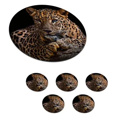 Produktbild von KitchenYeah® Glasuntersetzer Rund 6er Set Wildtiere - Panther - Porträt - Schwarz - Tiere 10x10 cm Untersetzer für Gläser - Getränkeuntersetzer - Tischplattenschutz - Tischuntersetzer für Tassen Tisc