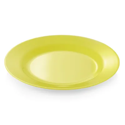 Zdjęcie produktu dla Talerz, melamina, Ø 23 cm, płaski, do wyboru kolory: Talerz, płaski, Ø 23 cm, żółty, melamina Wariant: Talerz, płaski, Ø 23 cm, żółty