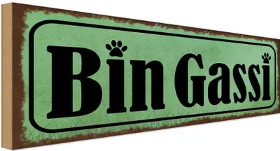 Produktbild von vianmo Holzschild 10x27 cm Bin Gassi Hund Tier Haustier