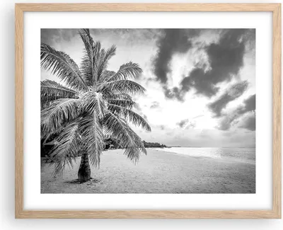 Produktbild von Gerahmtes Poster - Rahmen in heller Eiche - Monochrom Strand Wolken - 50x40 cm - Wand Bild - Wanddeko - Wandbilder - Kunstposter - Wandposter - Bilderrahmen - Bilder - Kunstdruck - P2NAA50x40-4677