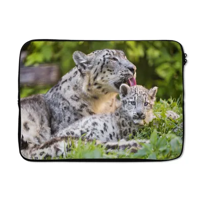 Produktbild von MuchoWow® Laptop Hülle 14 ZollSchneeleopard - Mutter - Gras Laptoptasche - Laptoptasche - Stoßsicher - Schutzhaube