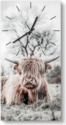 Produktbild von DEQORI Glasuhr 30x60 cm Modern 'Ruhendes Hochland' Wanduhr Glas Uhr Design leise Küchenuhr