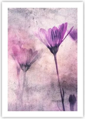 Produktbild von Poster - Poster ohne Rahmen - Blumen Rosa Vintage - 50x70 cm - Wand Bild - Wanddeko - Wandbilder - Kunstposter - Wandposter - Bilder - Kunstdruck - Wanddekoration - Wandbild - P2XPA50x70-4432