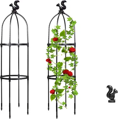 Image de Treillis pour plantes grimpantes