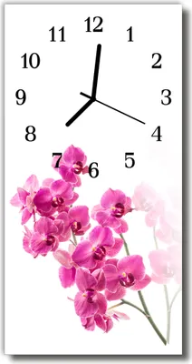 Produktbild von Tulup Glasuhr Wanduhr Küchenuhr Echt-Glas 30x60 Orchideen Mehrfarbig