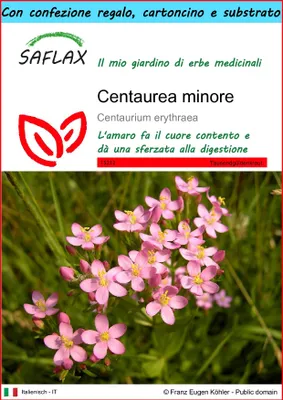 Immagine prodotto di SAFLAX Set regalo - Centaurea minore - 250 semi - Centaurium