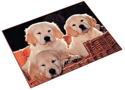 Produktbild von Läufer Schreibunterlage Hunde 400 x 530 mm
