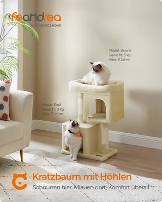 A cat tree with two cats in a living room setting.