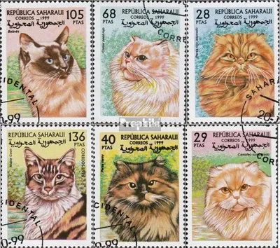 Produktbild von Briefmarken Sahara 1999 Mi Ausgabe der Exilregierung ohne Gültigkeit im int. Postverkehr Nr.92 gestempelt Katzen