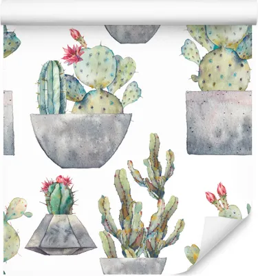 Produktbild von 10m VLIES TAPETE Rolle Natur Blumen Flora Pflanzen Kakteen Exotisch XXL