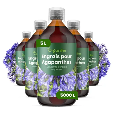 Produktbild von Agapanthus Flüssigdünger 5x1L – 2-1-8 NPK – Flüssigdünger Für Blühpflanzen – Für Üppige Blüten & Blätter – Organifer