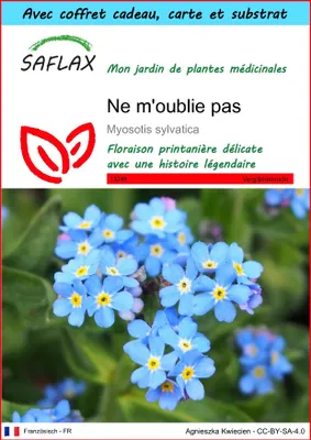 Image de SAFLAX Ensemble-cadeau - Ne m'oublie pas - 150 graines - Myosotis