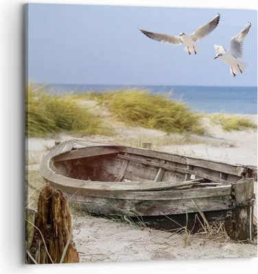 Produktbild von Bild auf Leinwand - Leinwandbild - Einteilig - Strand Möwen £ódŸ - 70x70cm - Wand Bild - Wanddeko - Wandbilder - Leinwanddruck - Bilder - Wanddekoration - Leinwand bilder - Wandbild - AC70x70-4170
